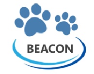 Shenzhen Beacon Meditec Limited